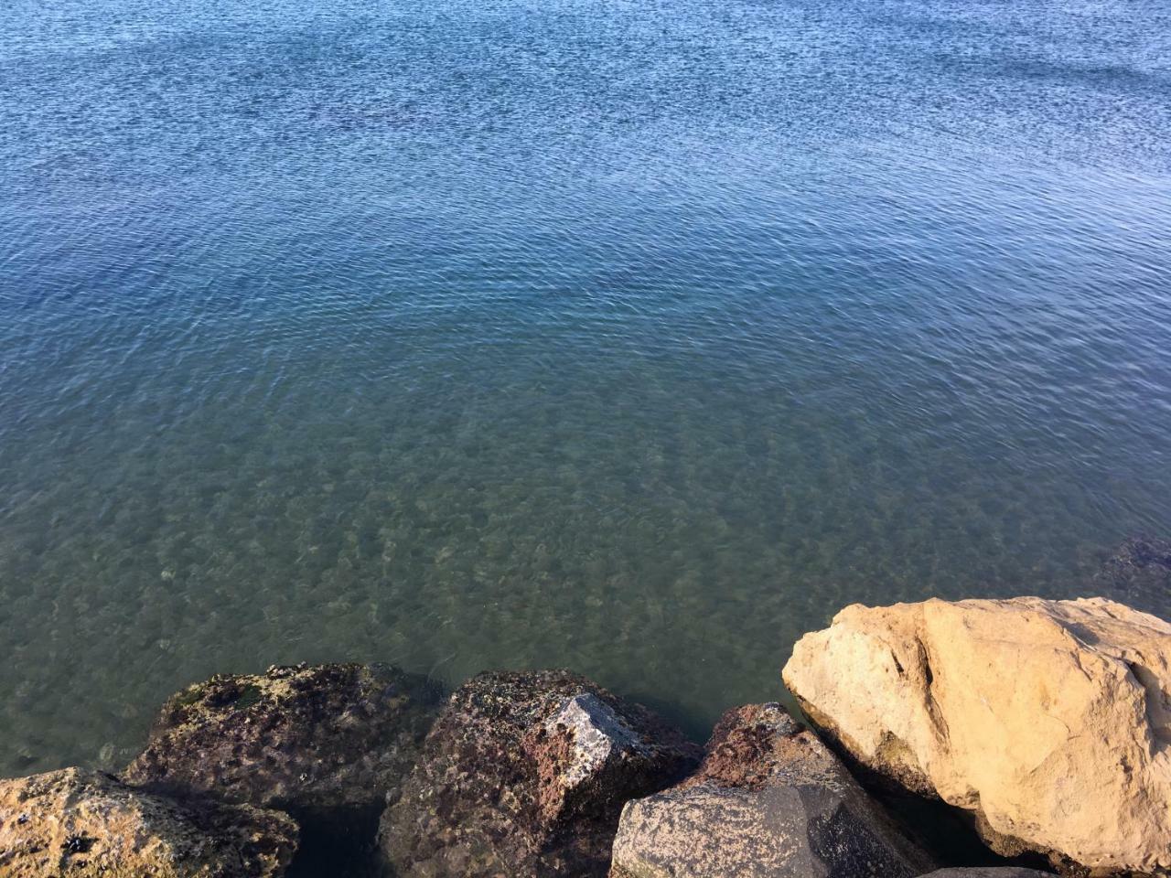Villa Venere Near The Sea- 25 Minutes To S.Peter ラディスポリ エクステリア 写真